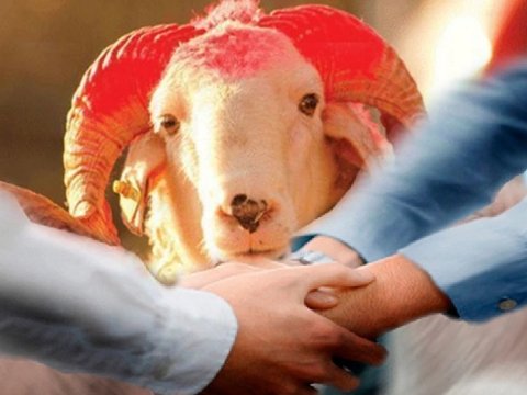 Bu niyyətlərlə qurban kəsməyin! - İlahiyyatçı AÇIQLADI