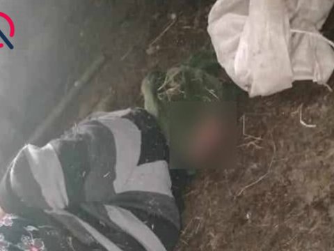 74 yaşlı qadının əl-ayağını bağlayıb başına kisə keçirdilər