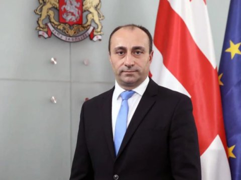 Gürcüstanın yeni daxili işlər naziri məlum oldu