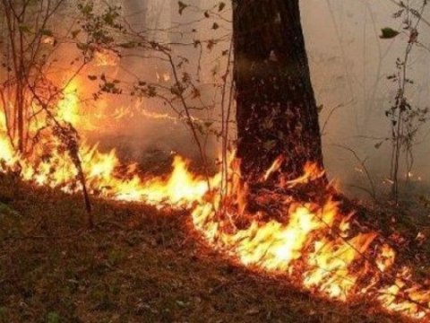 Yanğın təhlükəsizliyinə dair əhaliyə müraciət edildi