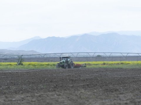 Xocalının iki kəndində əkin üçün müraciətlərin qəbuluna başlanılır