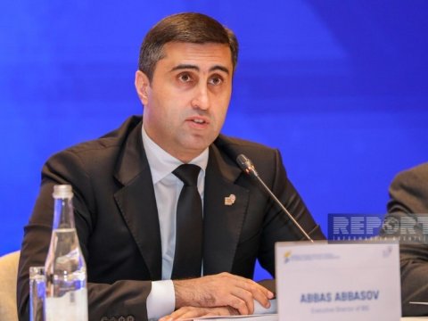 Abbas Abbasovun çıxışı BMT-nin saytında&nbsp;