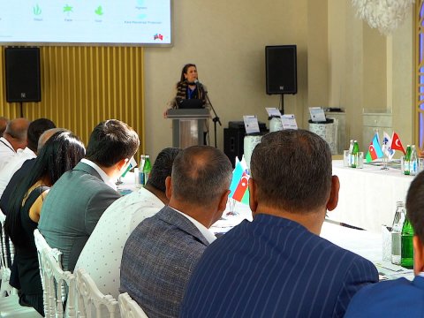 Azərbaycanda balıqçılıq sahəsinin inkişafı ilə bağlı seminar keçirilib - FOTO