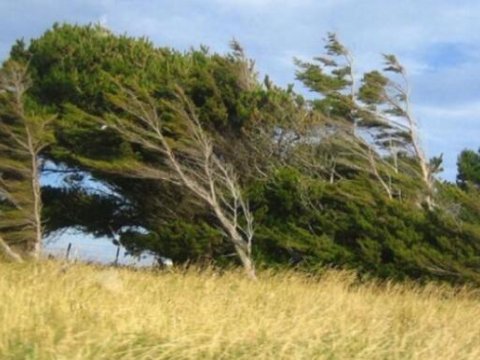 Güclü külək nə vaxt dayanacaq?