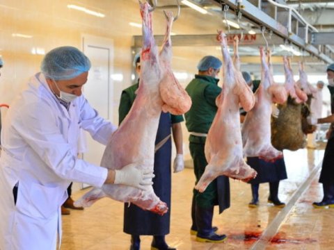 Bu yerlərdən kənarda heyvan kəsənlər CƏRİMƏLƏNƏCƏK