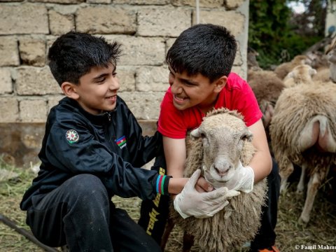 Azərbaycanda Qurban bayramı qeyd olunur - FOTOLAR
