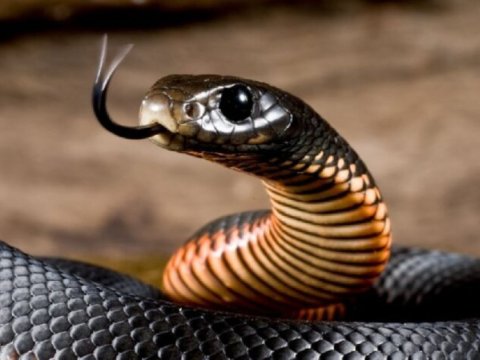 31 yaşlı kişini ilan sancdı