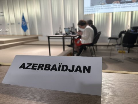 Azərbaycan BMT-nin konfransında təmsil olundu