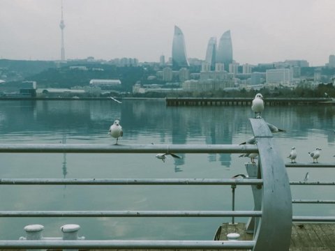 Bulvarda dənizdən meyit tapıldı