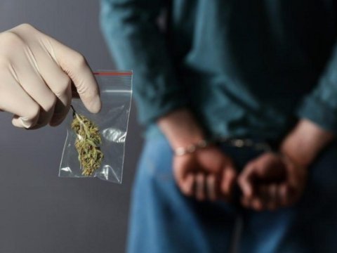 Şəmkirdə 5 kq narkotik dövriyyədən çıxarıldı - Saxlanılanlar var