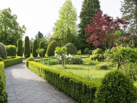 Bakıda &ldquo;Özbəkistan&rdquo; parkı salınacaq