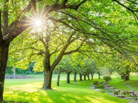 Azərbaycana yay fəsli bu tarixdə daxil olacaq