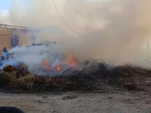 Salyanda ferma yandı: 40 baş heyvan tələf oldu