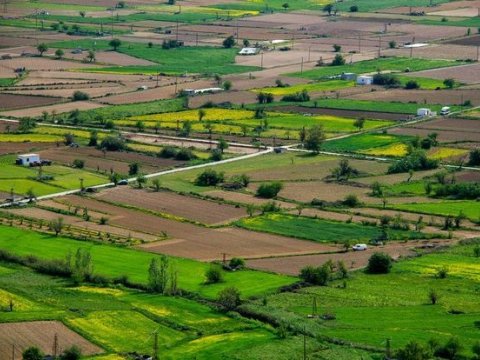 Bu torpaqlarla bağlı icra hakimiyyətinin rəyi alınmayacaq