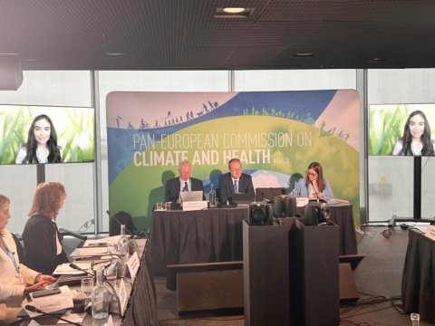 Leyla Əliyeva ÜST-nin tədbirində iştirak etdi