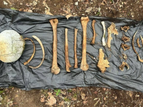 Ağdamda Maqsudlu kəndi ərazisində sümük qalıqları tapıldı