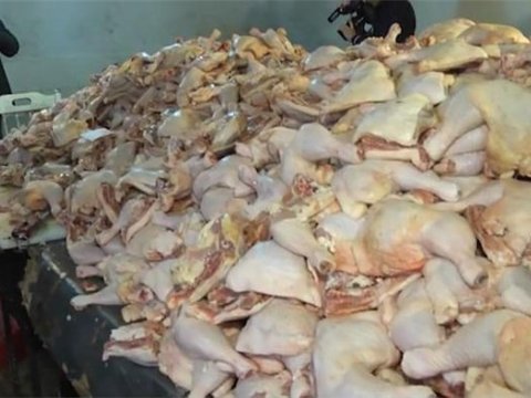 Polis istifadəyə yararsız 600 kq toyuq əti aşkarladı