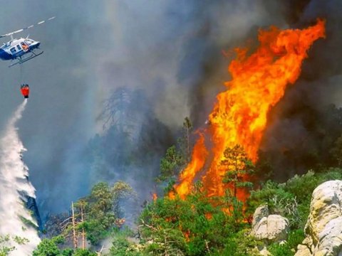 İzmirdə meşə yanır - Təyyarə və helikopterlər cəlb olundu