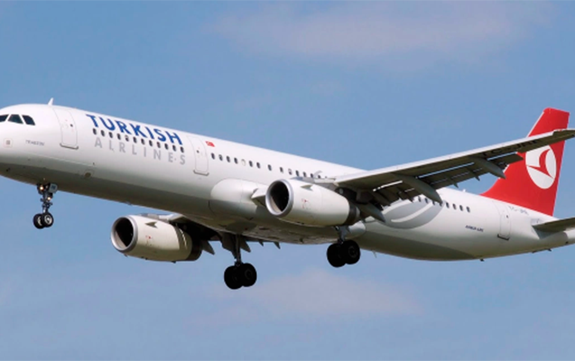 Türkiyə 4 ölkəyə uçuşları&nbsp;ləğv etdi