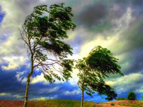 Bu rayonlarda külək əsəcək