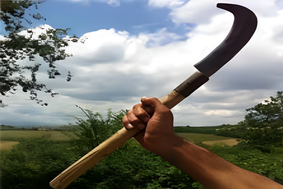 Qəbələ sakini həmkəndlisini dəhrə ilə öldürdü