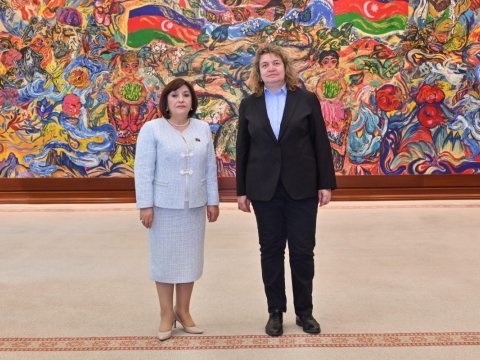 Sahibə Qafarova həmkarı ilə danışıqlar apardı