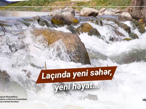 Laçında yeni səhər, yeni həyat... - VİDEO