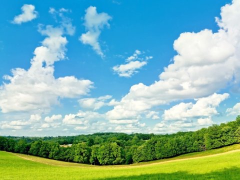Bazar gününün HAVASI