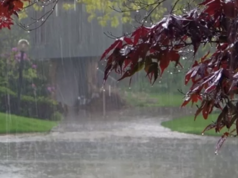 Leysan yağacaq, dolu düşəcək - PROQNOZ