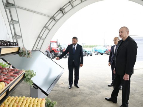 Prezident Yevlaxda aqroparkın&nbsp;açılışında