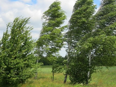 Küləkli hava şəraiti davam edir - Faktiki hava