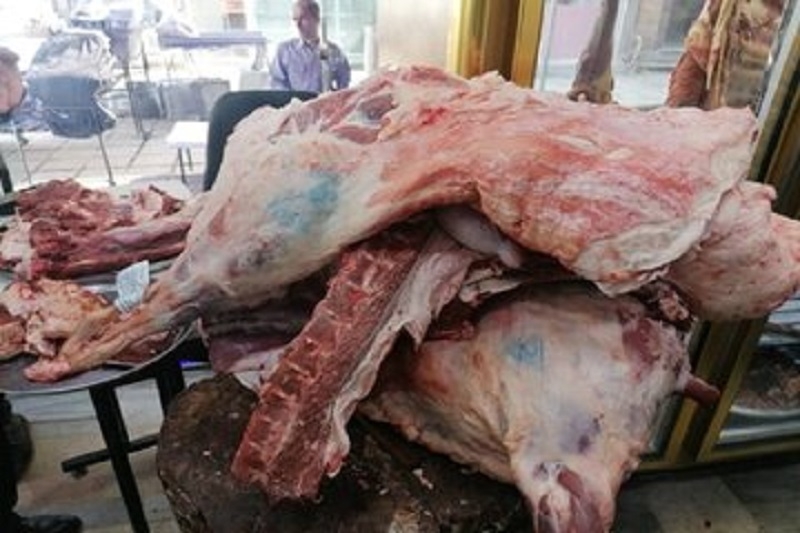 Hansı balıq, quş və heyvanların əti halal, hansı&nbsp;haramdır? - Hacı Fuad AÇIQLADI