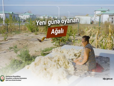 Yeni günə oyanan Ağalı -&nbsp;VİDEO