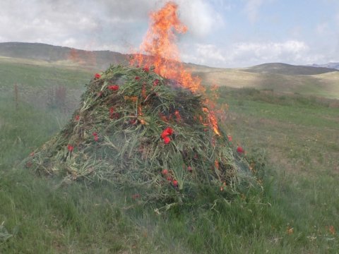 &ldquo;Xaşxaş-2025&rdquo; əməliyyatı KEÇİRİLDİ