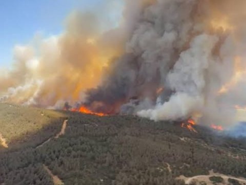 Türkiyənin 5 bölgəsində meşə YANIR