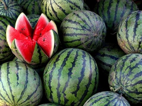 Azərbaycanda 14 nəfər qarpızdan ZƏHƏRLƏNİB