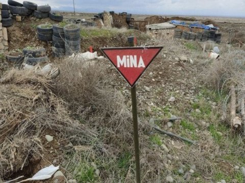 Mina qurbanlarının sayı 399-a çatıb - RƏSMİ