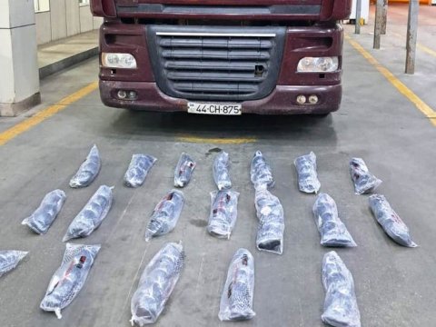 Sərhəddə 7 milyon manatlıq qaçaqmal tutulub