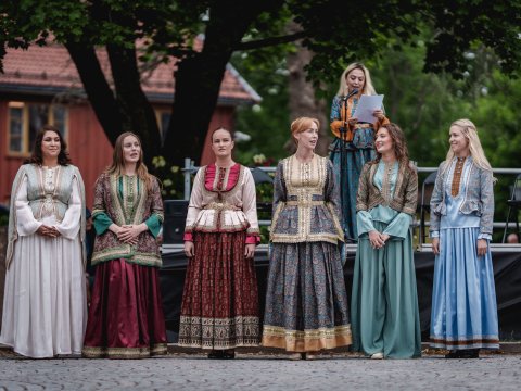 Nerdrum Muzeyində Azərbaycan Mədəniyyət Günləri - FOTO