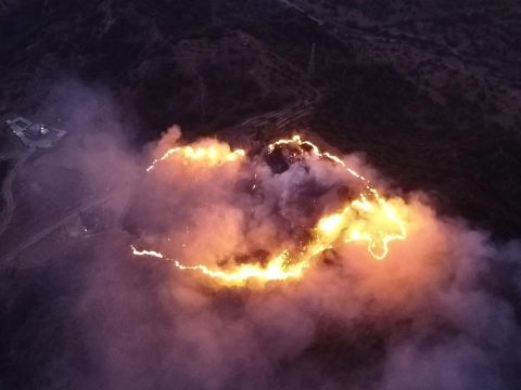 Gənəni yandırmaq istədi, meşə yandı