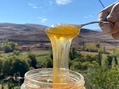 Azərbaycanda bal bahalaşır