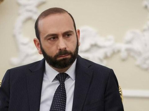 Mirzoyan gəlirlərini AÇIQLADI