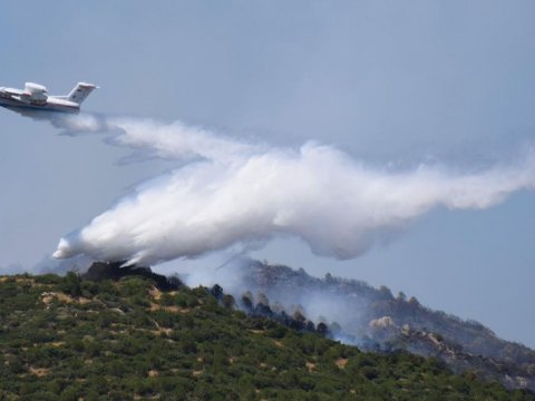Türkiyədə meşə yanğınları - 10 gündə 761 yanğın&nbsp;