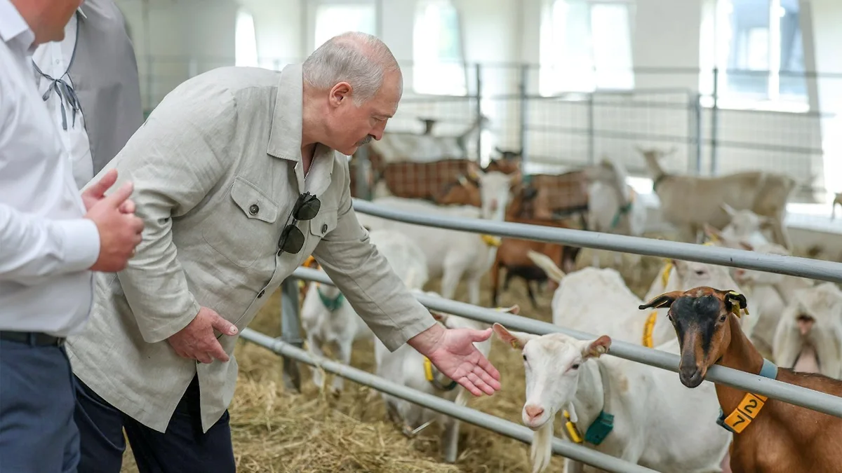 "Putin məni keçi südünə&nbsp;qonaq etmişdi"