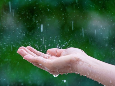 Yağış yağacaq, 38 dərəcə isti olacaq - PROQNOZ