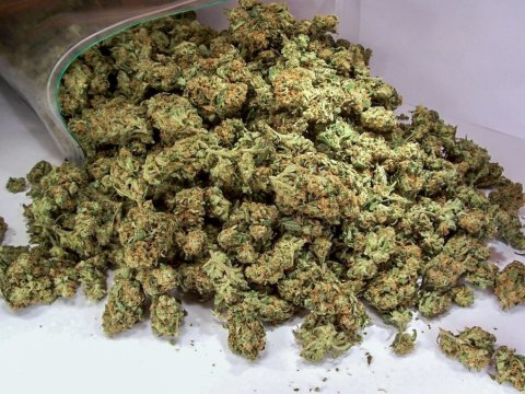 Narkokuryerlik edən şəxs saxlanıldı