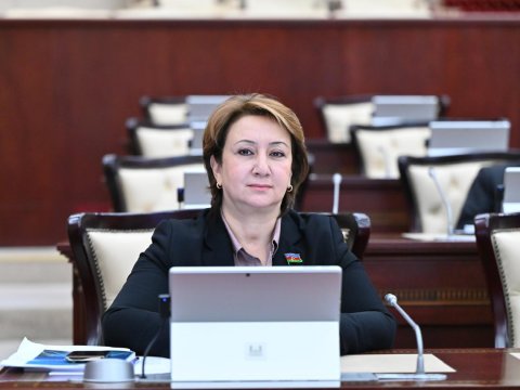 Əbu-Dabi görüşü sülhə doğru atılmış mühüm addımdır - Mehriban Vəliyeva