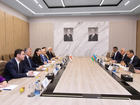 Rəşad Nəbiyev gürcüstanlı nazirlə müzakirə apardı