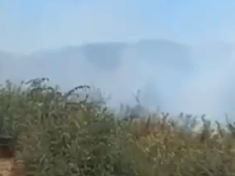 Cəlilabadda meşə YANIR