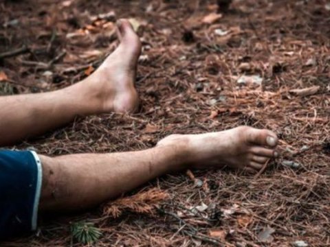 Oğuzda üzərinə ağac düşən 34 yaşlı kişi öldü